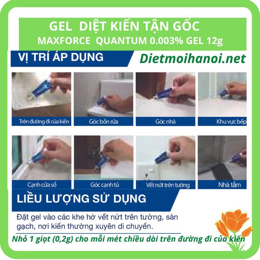 THUỐC DIỆT KIẾN TẬN GỐC MAXFORCE QUANTUM NHẬP KHẨU PHÁP